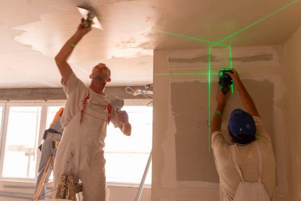 Morrisonville, NY Mold Removal Company